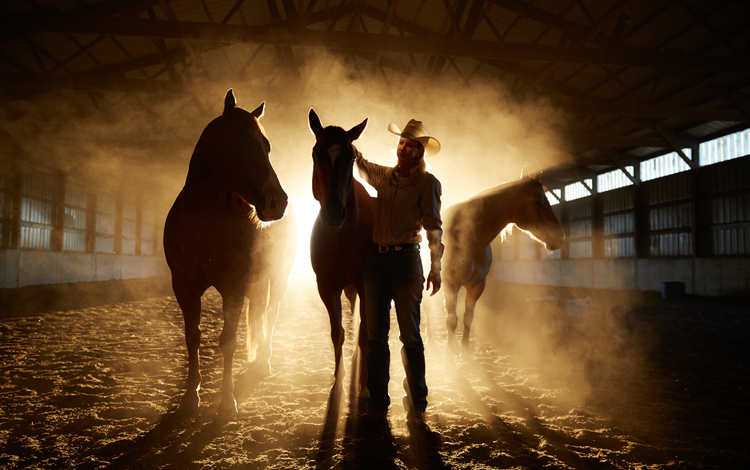 Sherry Cervi, corredora de barriles de la WPRA, en su establo con tres de sus caballos al atardecer.